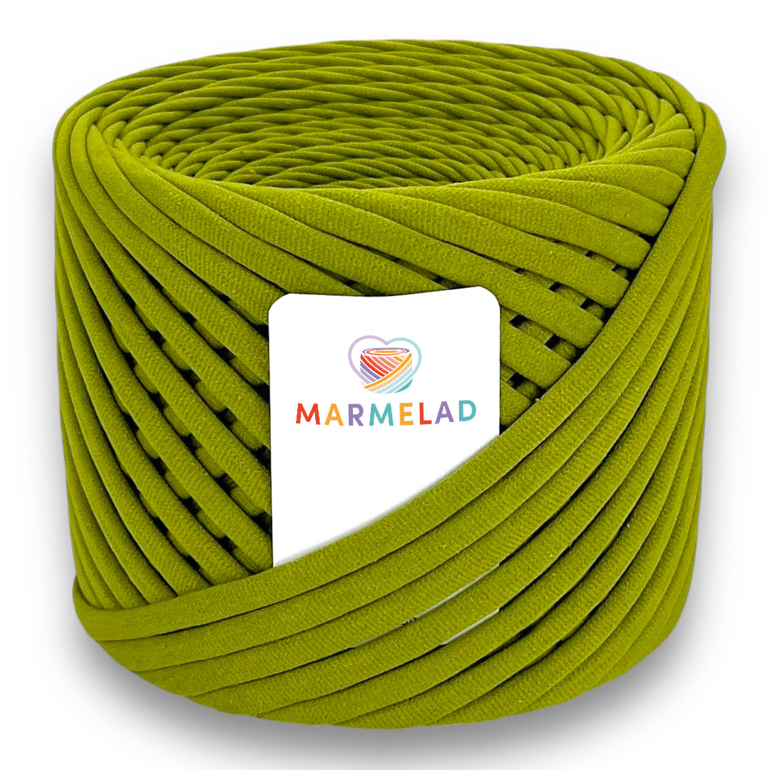 T-Shirt Yarn 7-9 mm 100 m Pistachio color