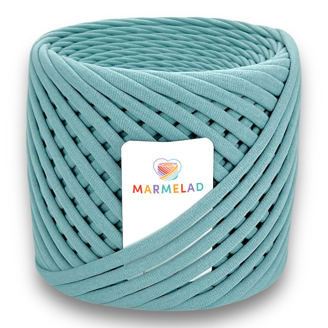 T-Shirt Yarn 5-7 mm 100 m Mint Powder color