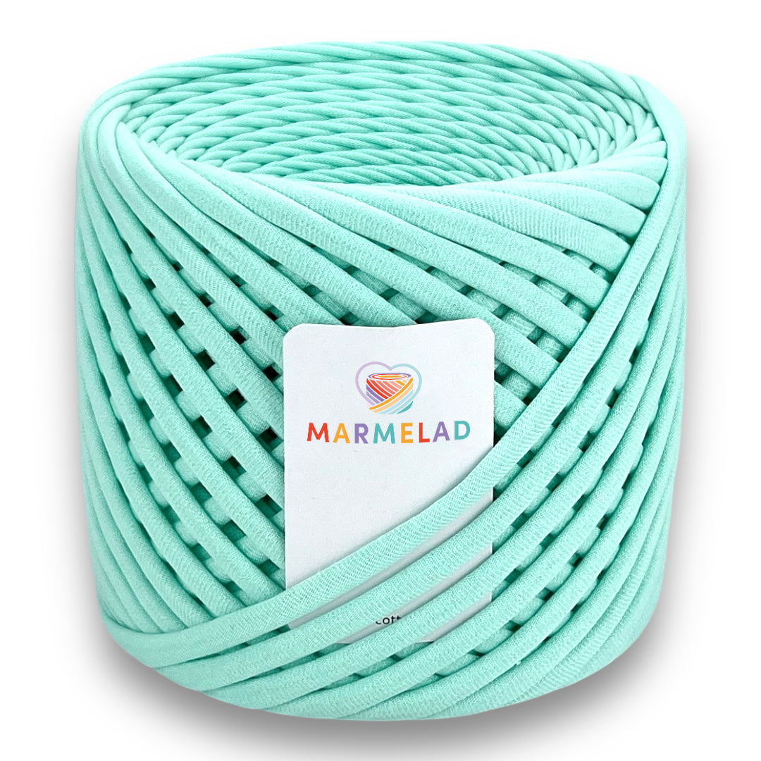T-Shirt Yarn 8-10 mm 90 m Menthol color