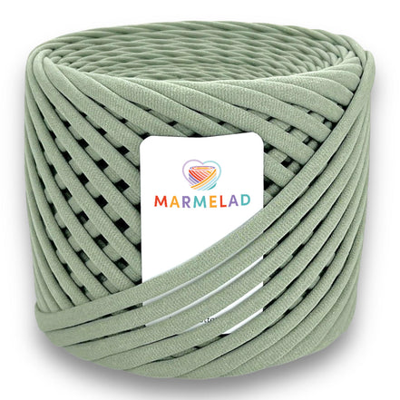 T-Shirt Yarn 9-11 mm 65 m Salvia color